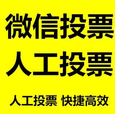 衡阳市微信刷票怎么投票